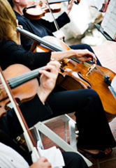 group-violins photo
