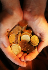coins photo